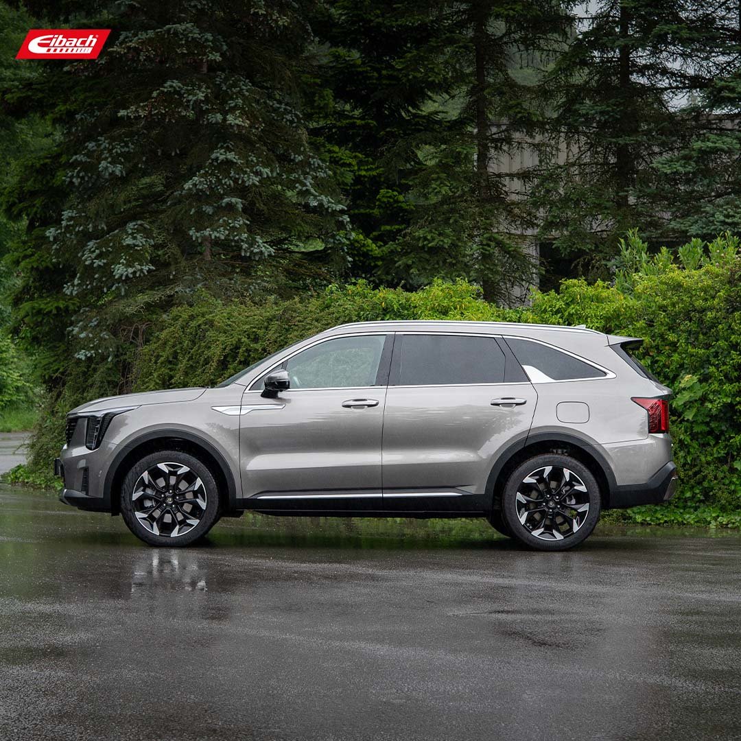 Eibach Pro-Lift Kit Springs (E30-42-054-04-22)