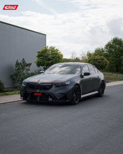 Eibach Pro-Kit Lowering Springs (E10-20-059-01-22)