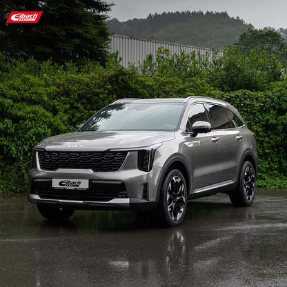 Eibach Pro-Lift Kit Springs (E30-42-054-04-22)