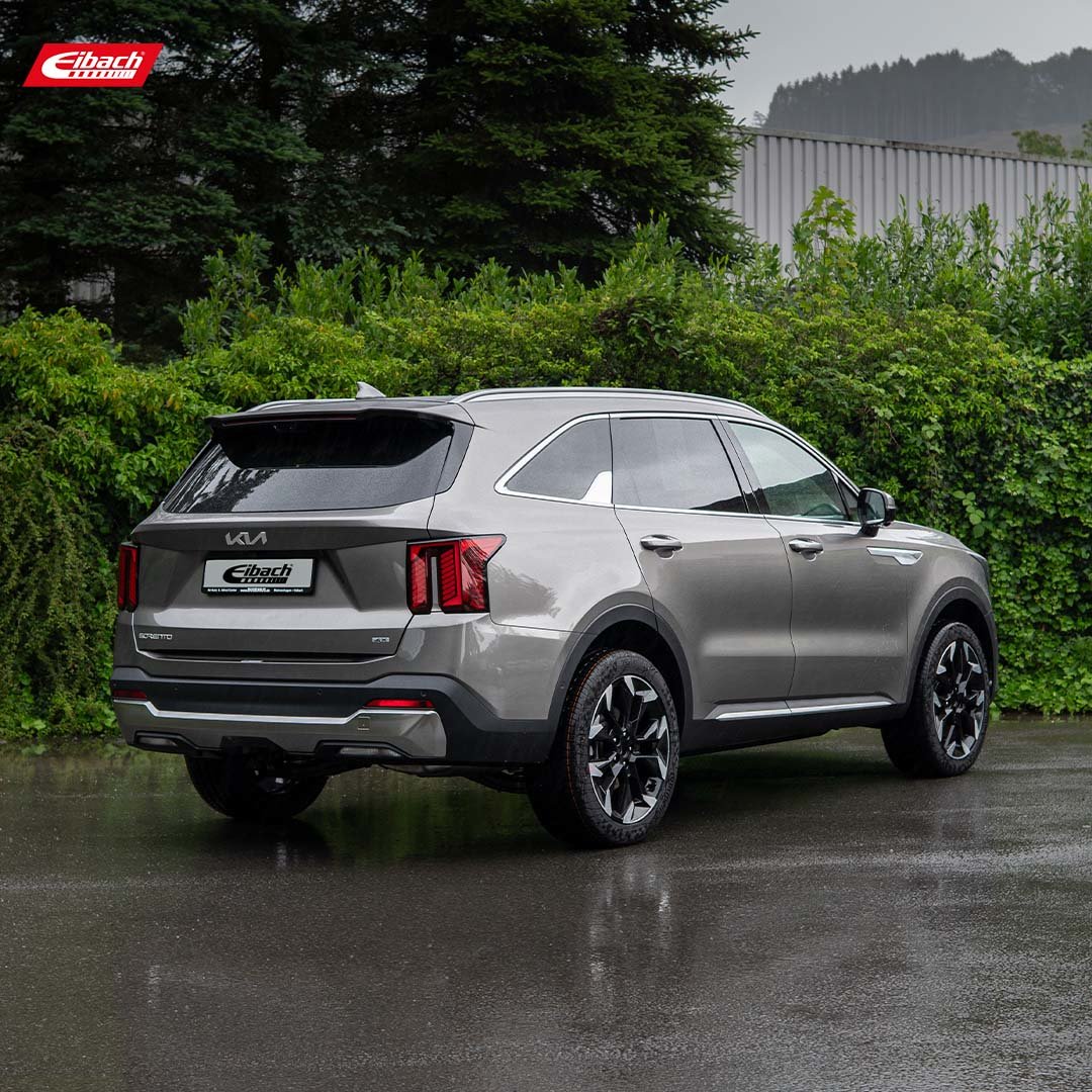 Eibach Pro-Lift Kit Springs (E30-42-054-04-22)