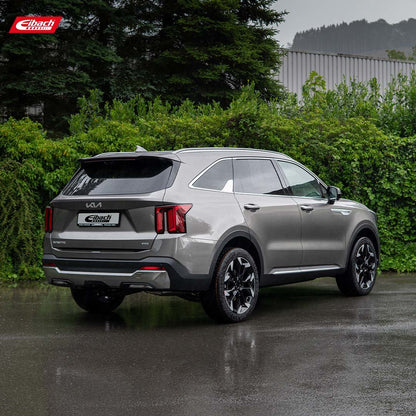 Eibach Pro-Lift Kit Springs (E30-42-054-04-22)