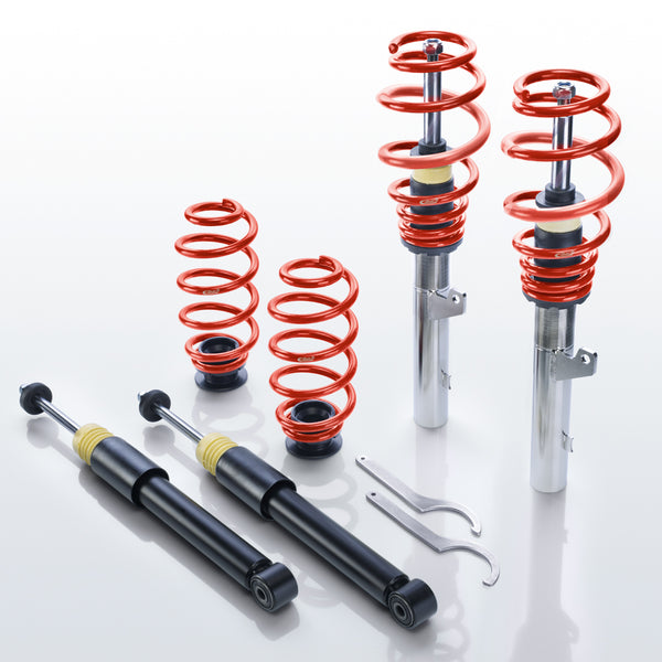 Eibach Pro-Street Coilover (PSS65-30-013-02-22)