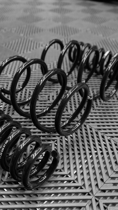 Eibach Pro-Kit Lowering Springs for BMW M135i / M140i (E10-20-030-02-22)