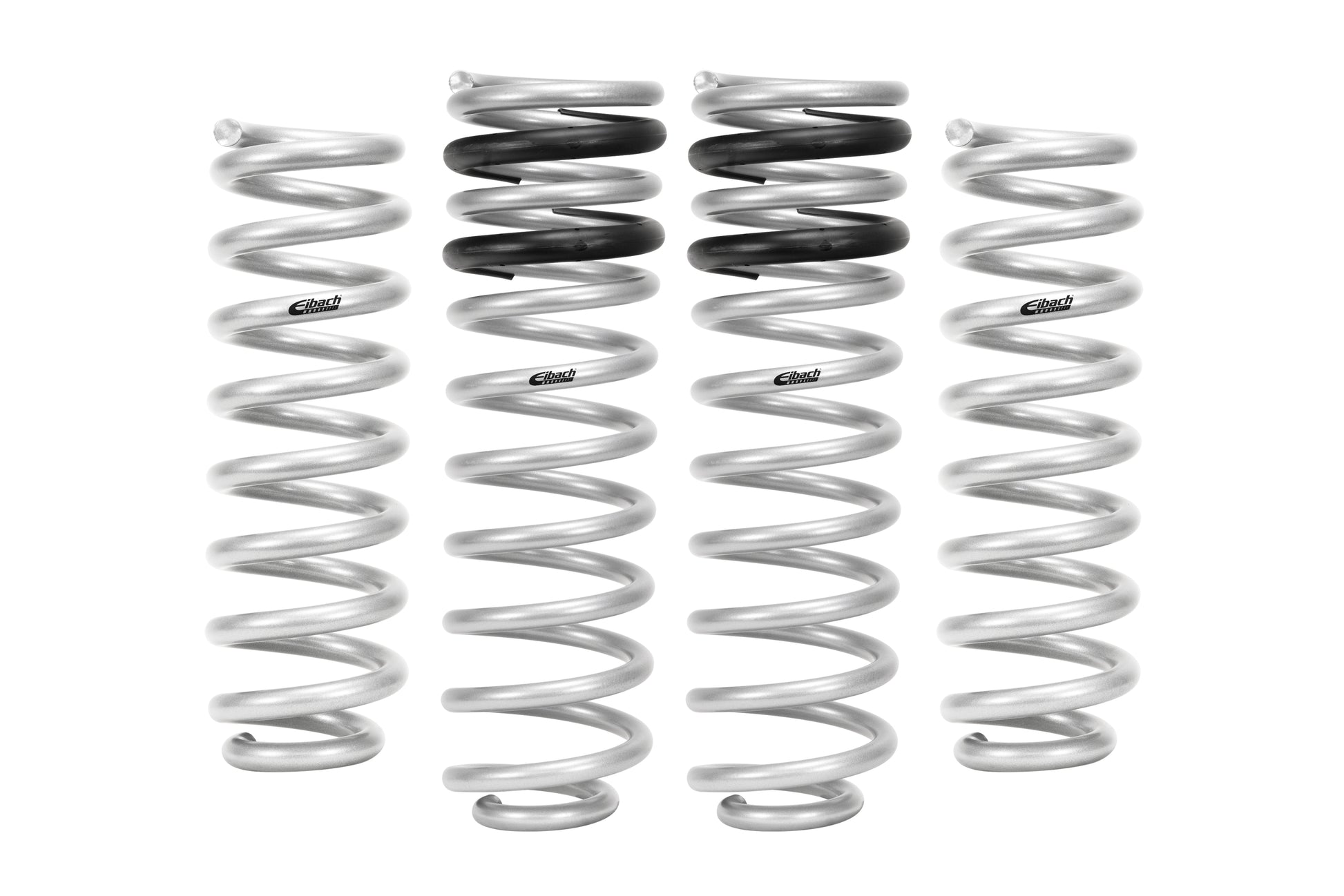Eibach USA PRO-LIFT KIT, DODGE Ram 1500   2009 to 2010 (E30-27-001-02-22)